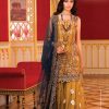 SHANAYA FASHION S 19 PAKISTANI SUIT IN SINGLE