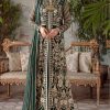 RAMSHA R 268 PAKISTANI SUITS FOR ONLINE RESELLERS