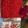 ELAF 116 GRACIA RED SALWAR KAMEEZ WHOLESALE