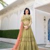 RAMA RAAZI VOL 10 10022 GOWNS WHOLESALER