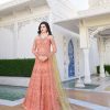 RAMA RAAZI VOL 10 10028 GOWNS WHOLESALER