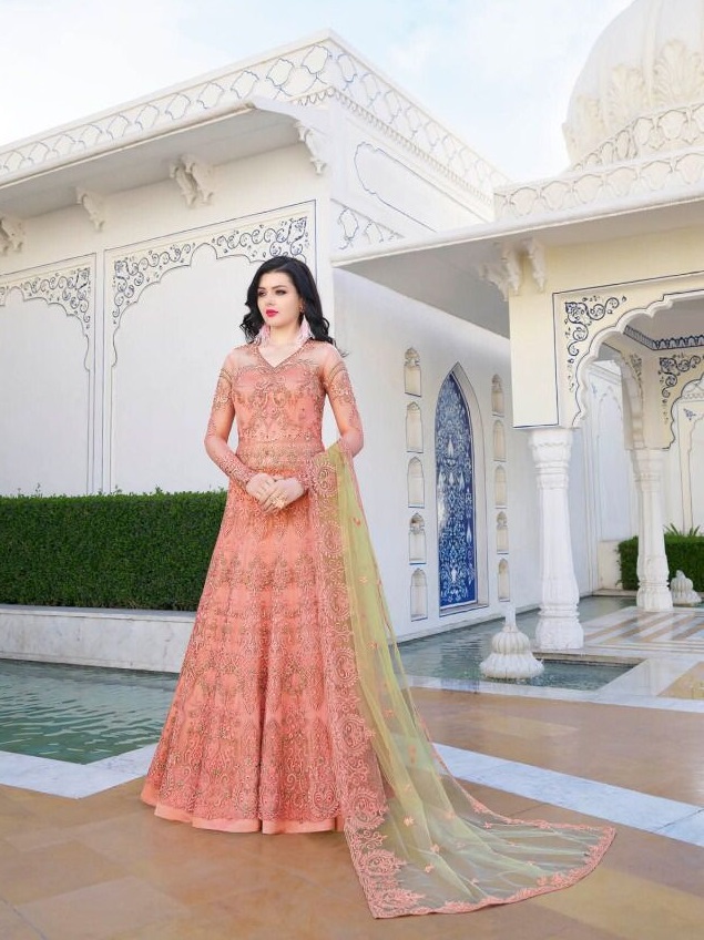 RAMA RAAZI VOL 10 10028 GOWNS WHOLESALER