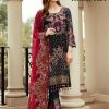 HOOR TEX 12009 C SALWAR KAMEEZ MANUFACTURER SURAT