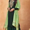 EBA LIFESTYLE NOREEN 1301 SALWAR KAMEEZ WHOLESALER