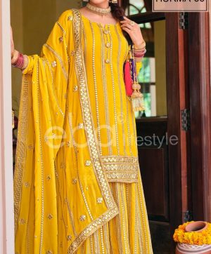 EBA LIFESTYLE HURMA 36 1347 SALWAR KAMEEZ