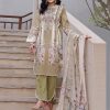 SHREE FABS AYESHA ZARA VOL 3 1866 SALWAR KAMEEZ WHOLESALER