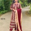 NANDANI FASHION 1017 B PAKISTANI SALWAR KAMEEZ WHOLESALER