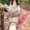 DEEPSY SUITS 1687 PAKISTANI SALWAR KAMEEZ WHOLESALER