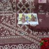 DINSAA SUIT DS 131 PAKISTANI SALWAR KAMEEZ WHOLESALER