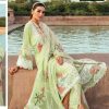 ZIAAZ 7773 B HIT PISTA SALWAR KAMEEZ WHOLESALER