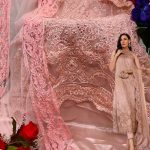 DEEPSY SUITS D 1076 PAKISTANI SUITS IN INDIA