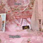 ZEEN DESIGNS ZD 121 PAKISTANI SUITS IN INDIA