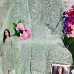 DINSAA 178 D ORGANZA PAKISTANI SUITS