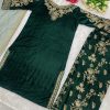 SHREE TEXTILE ST 118 A DESIGNER VELVET SUITS