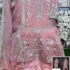 DEEPSY 2064 ORGANZA SALWAR KAMEEZ