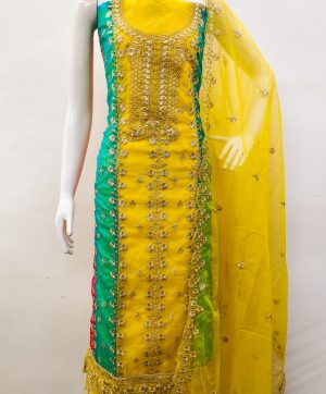 DS ORGANZA SILK SALWAR KAMEEZ A