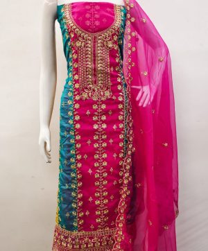 DS ORGANZA SILK SALWAR KAMEEZ B