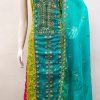 DS ORGANZA SILK SALWAR KAMEEZ C