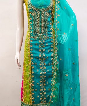 DS ORGANZA SILK SALWAR KAMEEZ C