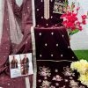 DEEPSY SUITS D 32217 A B C D VELVET 24 PAKISTANI SUITS