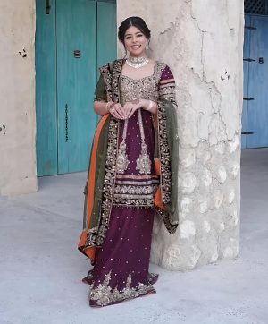 SHREE HARI NSR 841 DESIGNER SHARARA SUITS