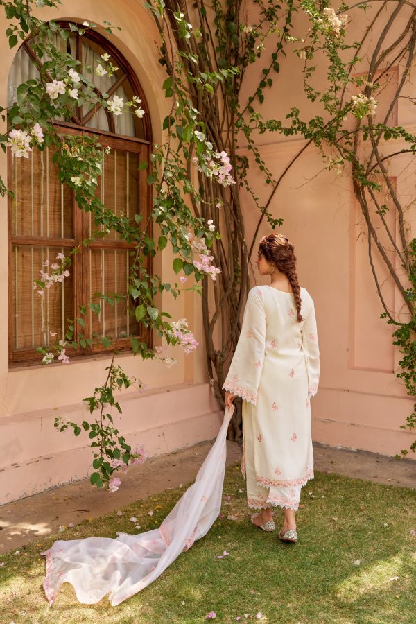 AKSHAR DESIGNER PINK AKSHARA CHANDERI SUITS
