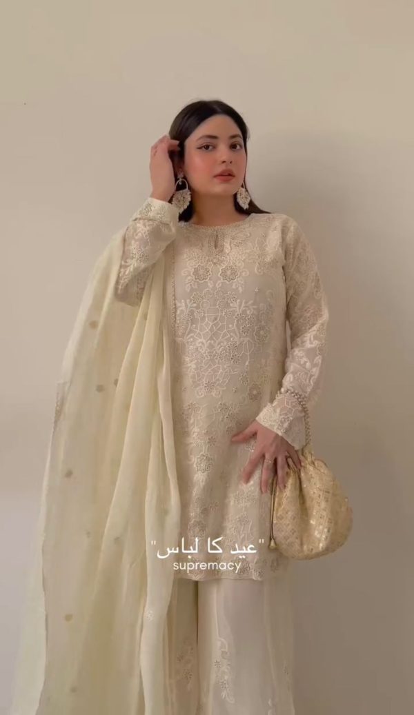 AAROHI DESIGNER AD 196 B SALWAR SUITS WHOLESALE