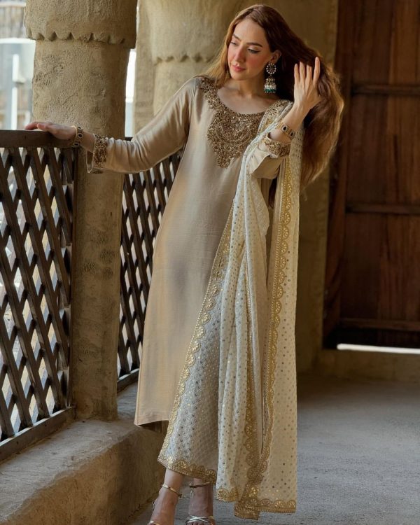 HK 1701 DESIGNER EMBROIDERY SEQUENCE WORK KURTI