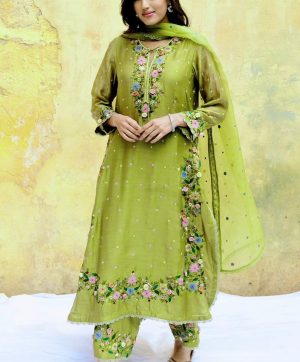 SHREE HARI NSR 862 TRENDING SALWAR SUITS ONLINE