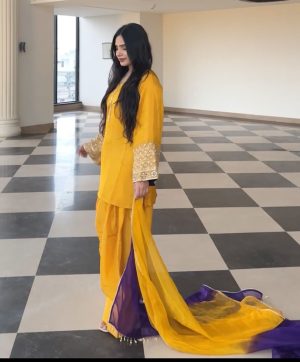SHREE HARI NSR 854 B DESIGNER FARSHI SALWAR SUITS