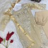 HK 1719 C DESIGNER TRENDING SALWAR SUITS WHOLESALE