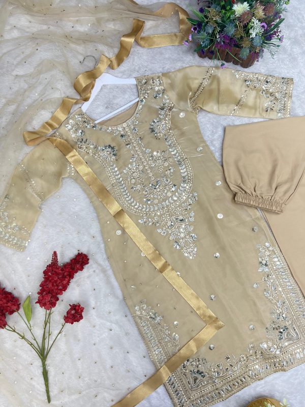 HK 1719 C DESIGNER TRENDING SALWAR SUITS WHOLESALE