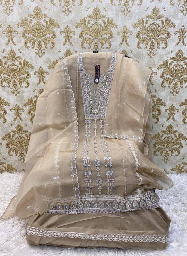 HOOR TEX OR 79 B ORGANZA SALWAR KAMEEZ