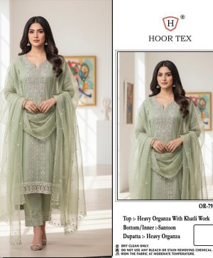 HOOR TEX OR 79 D ORGANZA SALWAR KAMEEZ