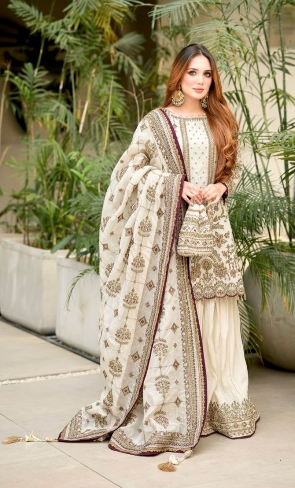 AD 213 WHITE DESIGNER SALWAR KAMEEZ