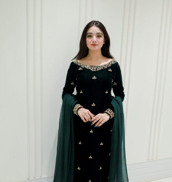 https://wholesalemegamart.com/wp-content/uploads/2025/11/LG-2024-VELVET-SALWAR-KAMEEZ-WHOLESALE-2.jpeg