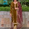 DB 026 TRENDING VELVET SALWAR KAMEEZ